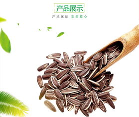 妙顏 新貨五香葵花籽 堅(jiān)果炒貨 休閑零食 五香瓜子500g