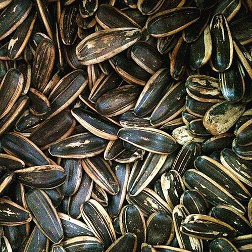 干果太貴吃不起 5種 干果 教你在家做,便宜又好吃,還不上火