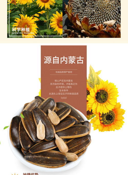 張老吉焦糖瓜子五香原味山核桃味葵花籽1斤2斤4斤零食批發(fā)袋裝