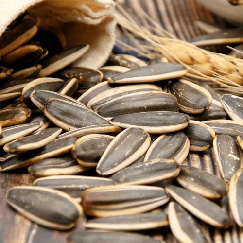 事關春節 兩當人速看