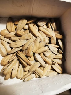 泰山 瓜子 五香味 252g